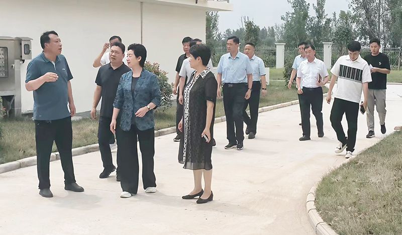 熱烈歡(huan)迎各領導(dao)視詧我司承建的桺河及儸崗汚水處理廠項目